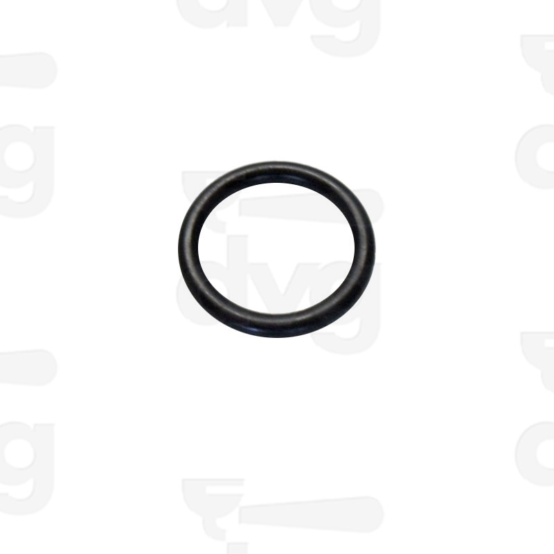 GUARNIZIONE ORM 0250-40