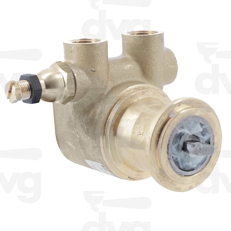 POMPA VOLUMETRICA ROTOFLOW 150 L/H 3/8" GAS 