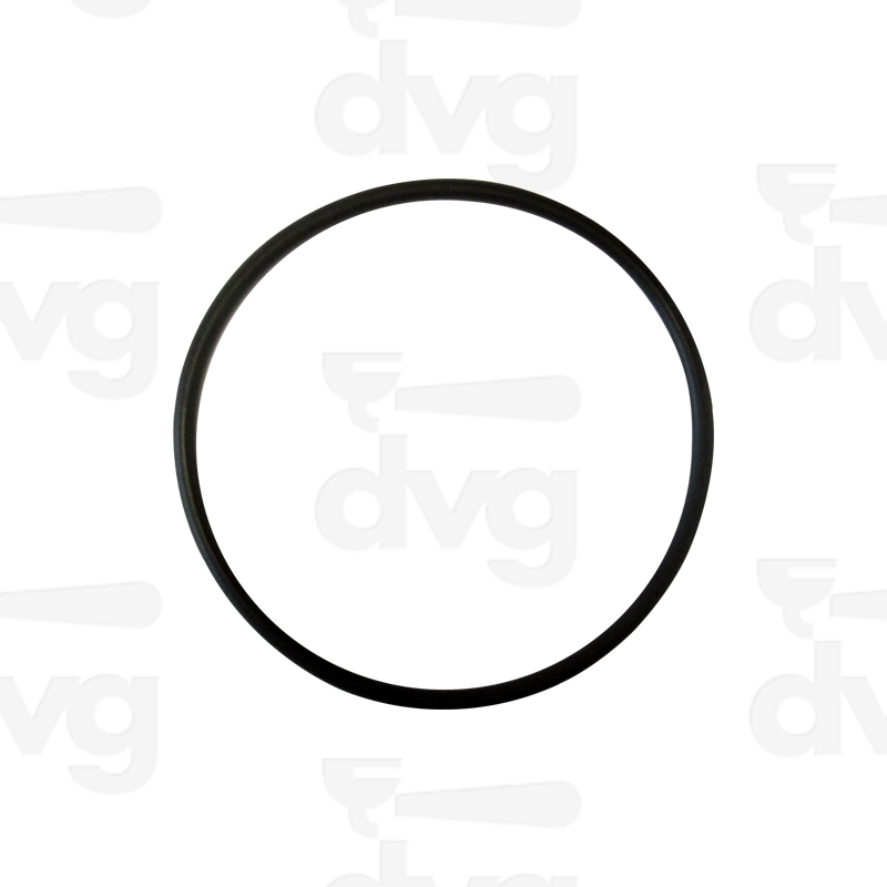 OR 78,97X3,53MM VITON® -GUARN. GRUPPO SPAZIALE