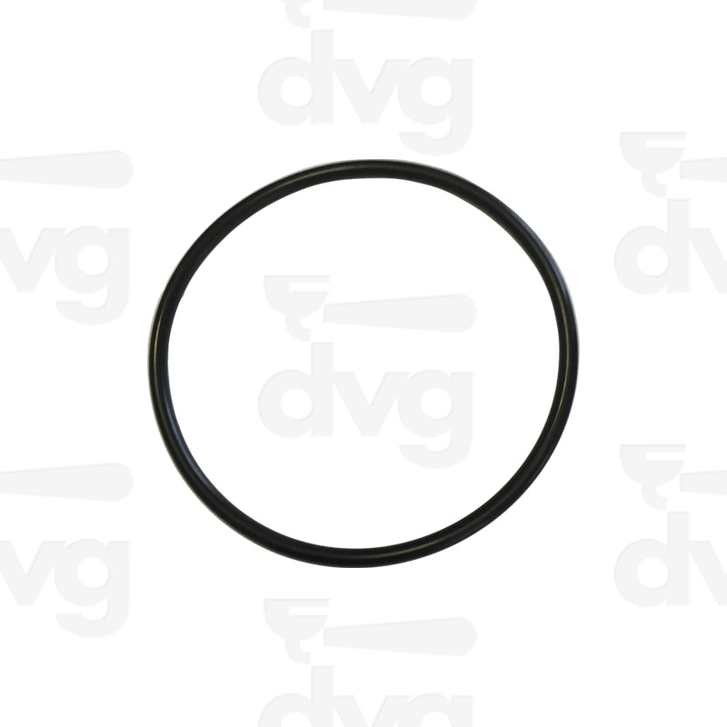 OR 55,56X3,53 VITON® OR159 - SPAZIALE