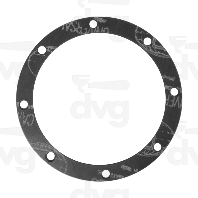 GUARNIZIONE EN 170X135X2MM CALDAIA 5LT SPAZIALE 