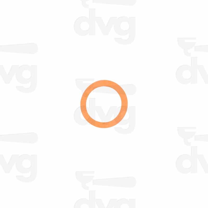 GUARNIZIONE SONDA LIVELLO