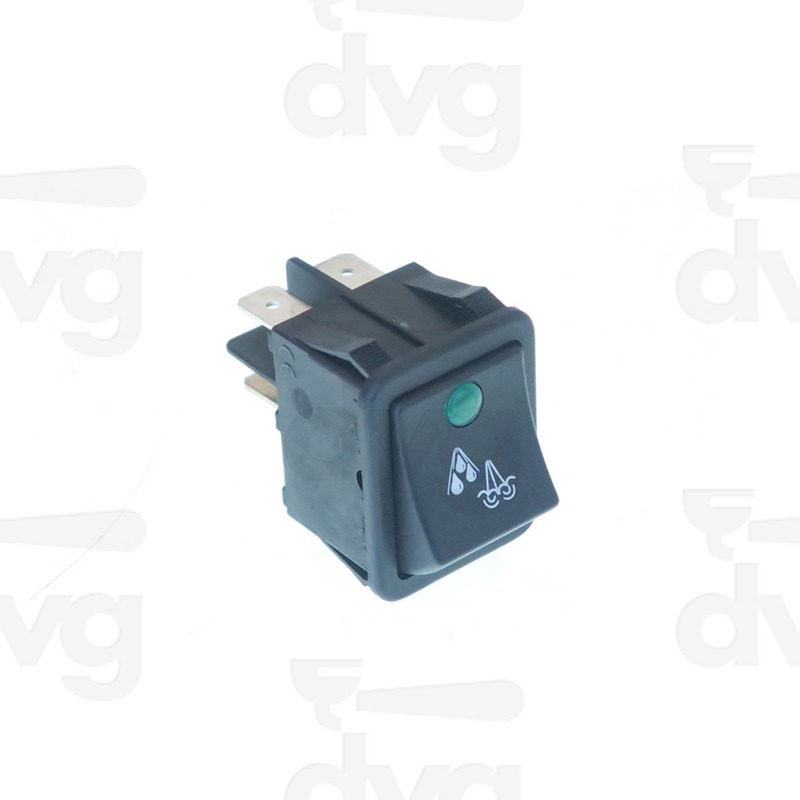 INTERRUTTORE BIPOLARE LED VERDE S.A. BOLLITORE 16A 250V