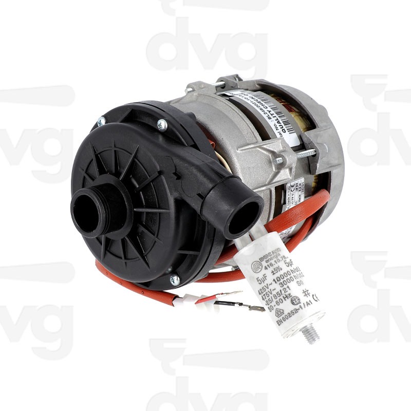 POMPA LAVAGGIO 0.25 HP V230M 50H Z ROTAZIONE ORARIA