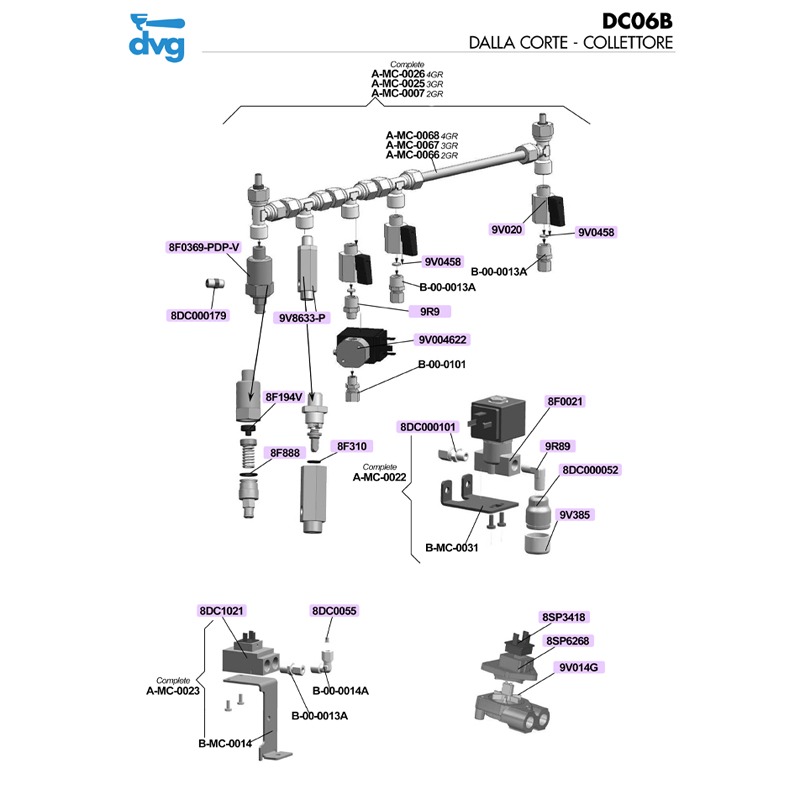 DALLA CORTE - COLLETTORE - MOD. EVOLUTION