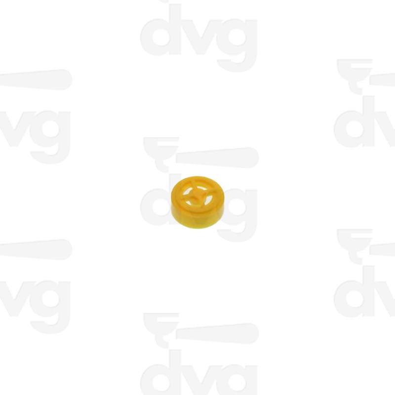 REG.PORT.ING.T&P 5.5L/M.GIALLO