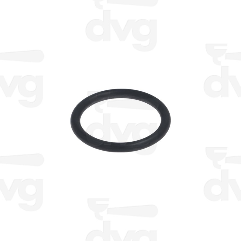 GUARNIZIONE O-RING
