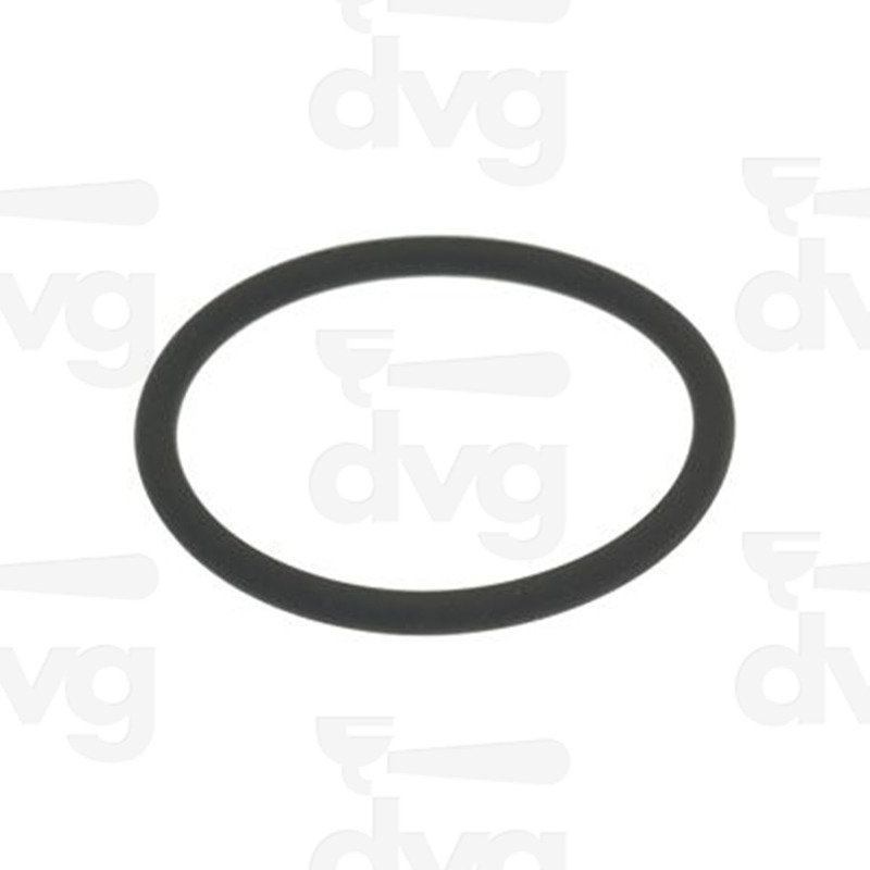 GUARNIZIONE O-RING