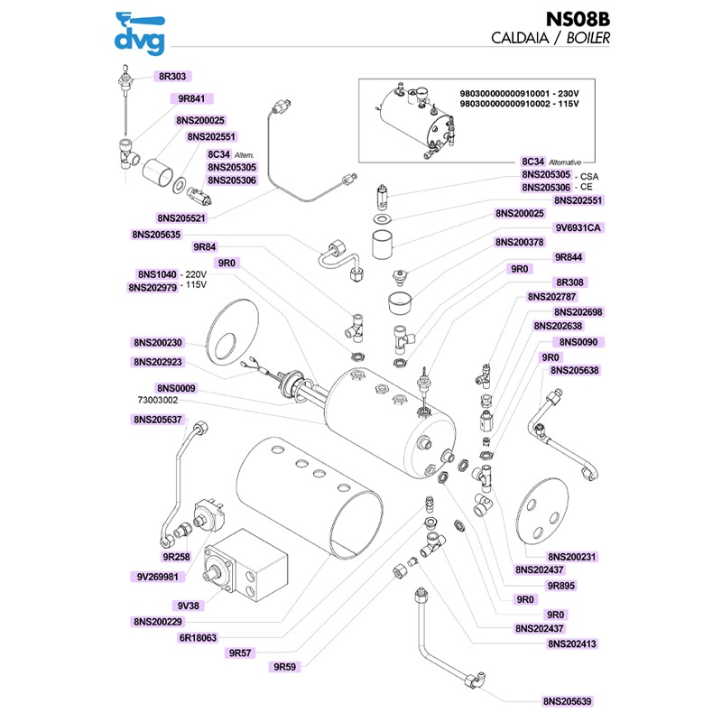 NUOVA SIMONELLI - CALDAIA MUSICA